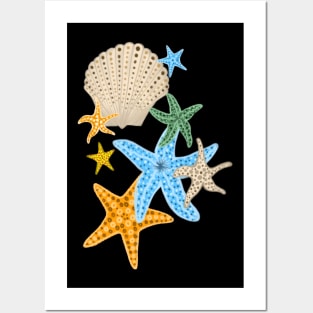 Starfishes and Seashells Posters and Art